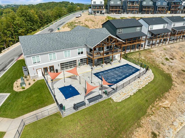 128 Chateau Mountain Court, Branson, MO 65616