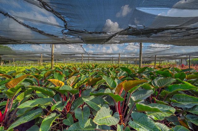 20750 SW 256 ST, Homestead, FL 33031