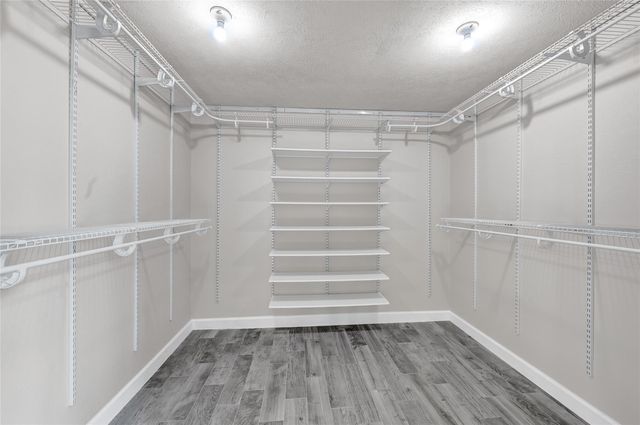 19126 S Rim Trail, Spring, TX 77388