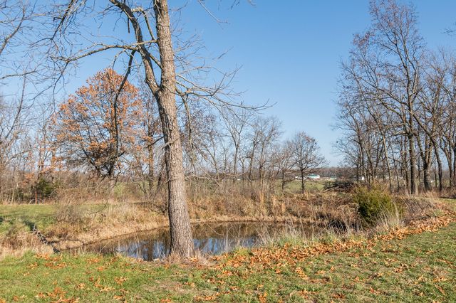 17590 Lawrence 2240, Verona, MO 65769