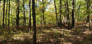 0 Trey Court, Madison Heights, VA 24572