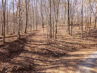 1110 Mayfield Lane, Ranger, GA 30734