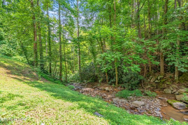 1435 Wiley Oakley Drive 176, Gatlinburg, TN 37738