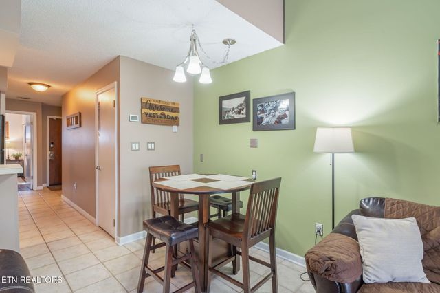 1435 Wiley Oakley Drive 176, Gatlinburg, TN 37738