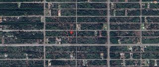 903 PLUMOSA DRIVE, Indian Lake Estates, FL 33855