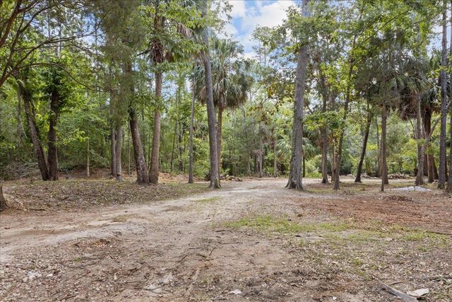 1334 Jr. Howell Road, Steinhatchee, FL 32359