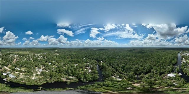 1334 Jr. Howell Road, Steinhatchee, FL 32359