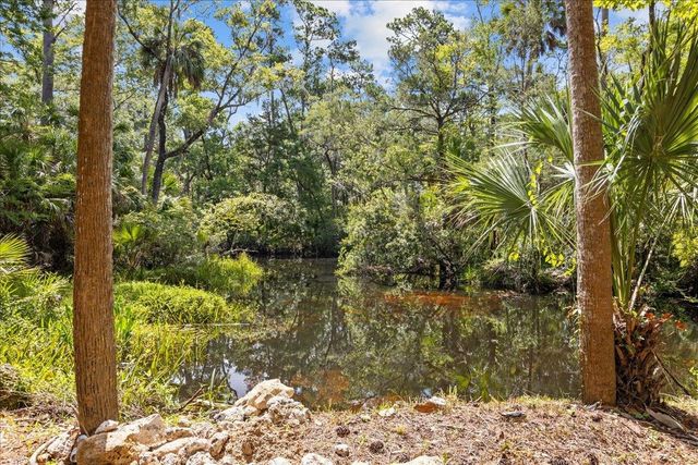 1334 Jr. Howell Road, Steinhatchee, FL 32359