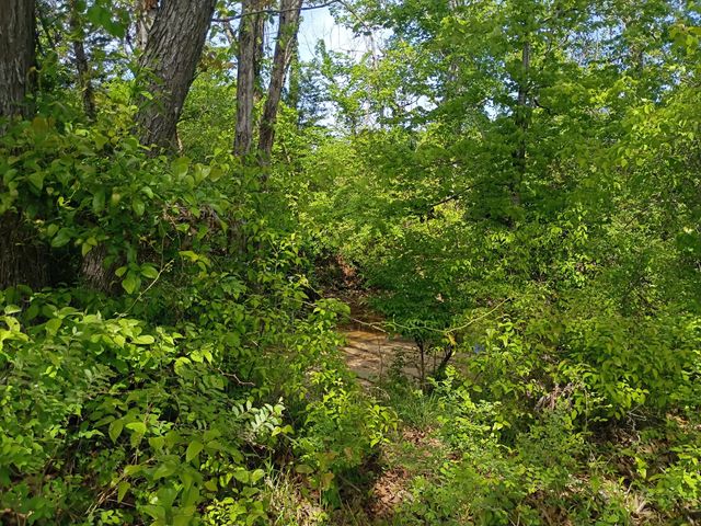 1931 Bear Creek Pike, Columbia, TN 38401