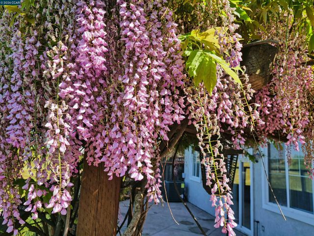 236 Comeabout Circle, Pittsburg, CA 94565