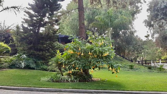 7063 Via Mariposa Norte, Bonsall, CA 92003