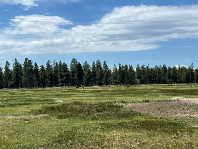 151772 Beal Road, La Pine, OR 97739