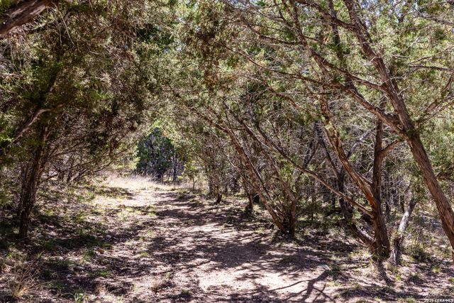 113 SPRINGBRANCH DR, Kerrville, TX 78028