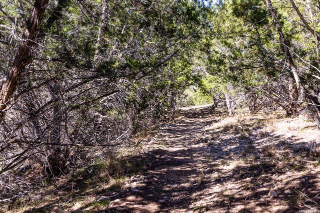 113 SPRINGBRANCH DR, Kerrville, TX 78028