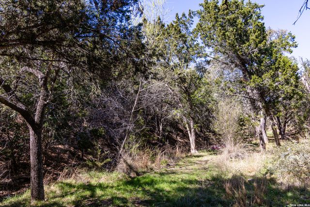 113 SPRINGBRANCH DR, Kerrville, TX 78028
