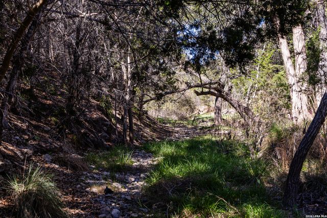113 SPRINGBRANCH DR, Kerrville, TX 78028
