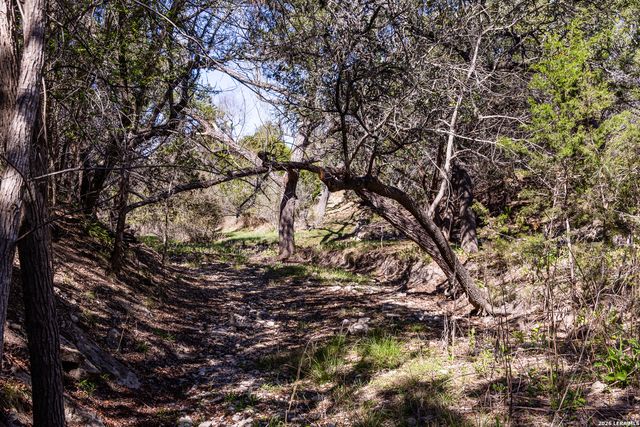 113 SPRINGBRANCH DR, Kerrville, TX 78028