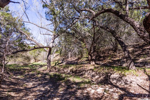 113 SPRINGBRANCH DR, Kerrville, TX 78028