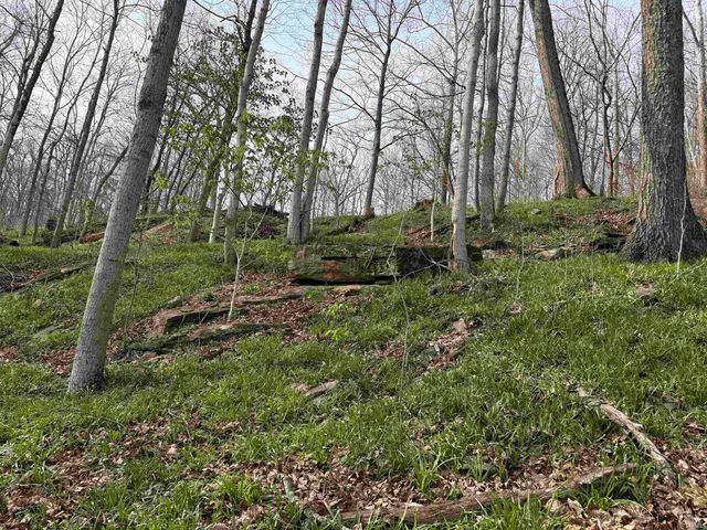 11686 E State Road 450, Shoals, IN 47581