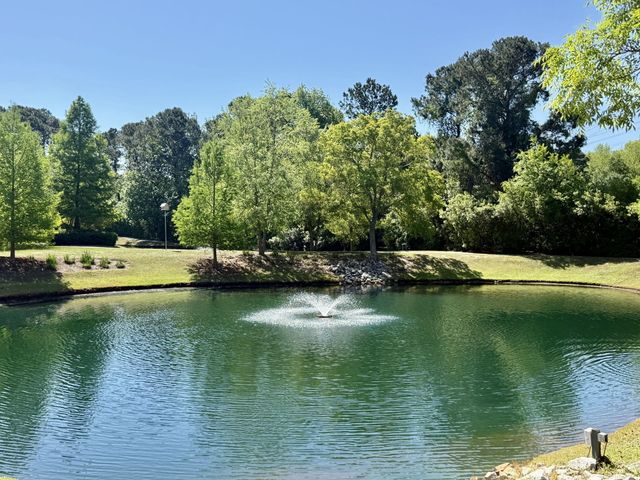 1925 Chatelain Way, Mount Pleasant, SC 29464
