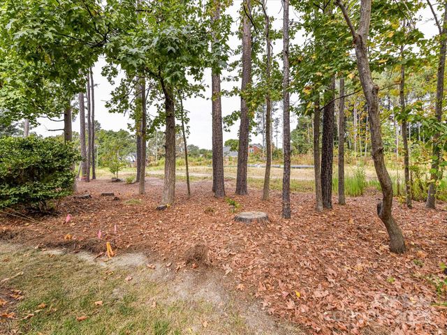 3619 Savannah Hills Drive, Matthews, NC 28105