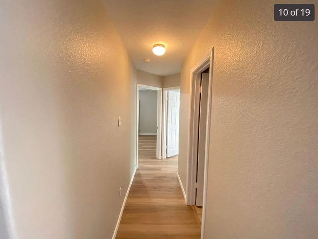 1413 Haley Gray DR, Pflugerville, TX 78660