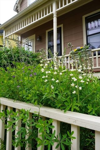 10 Mountain Ave, Somerville, MA 02143