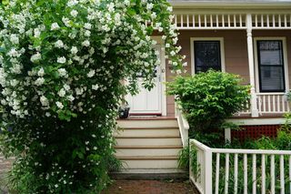 10 Mountain Ave, Somerville, MA 02143