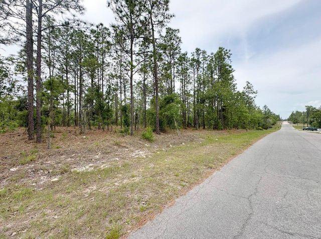 TBD NE 150TH , LOT 10 AVENUE, Williston, FL 32696