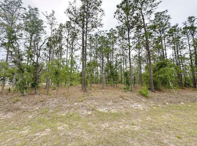 TBD NE 150TH , LOT 10 AVENUE, Williston, FL 32696