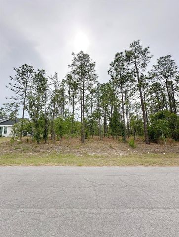 TBD NE 150TH , LOT 10 AVENUE, Williston, FL 32696