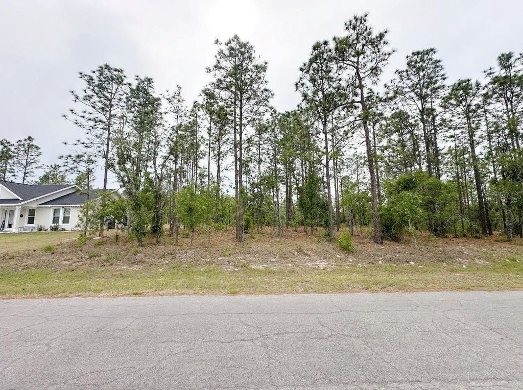 TBD NE 150TH , LOT 10 AVENUE, Williston, FL 32696