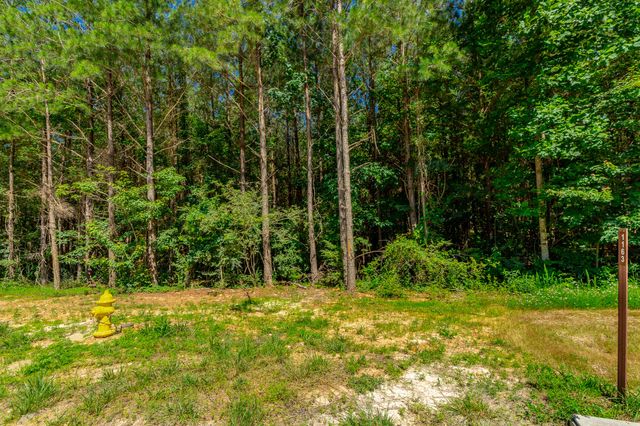 0 Split Rail Way Lot 1163, Guild, TN 37340