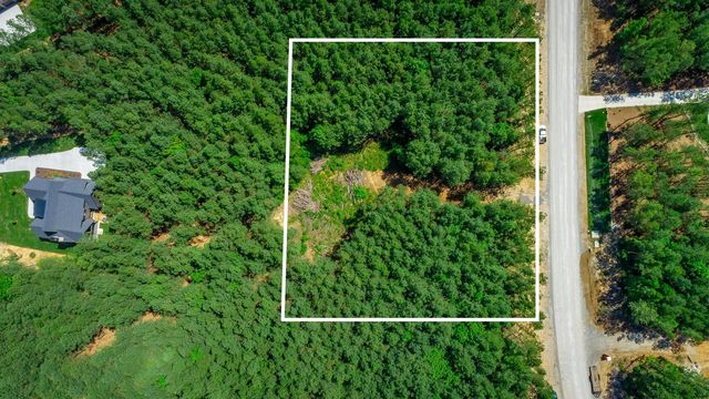 0 Split Rail Way Lot 1163, Guild, TN 37340