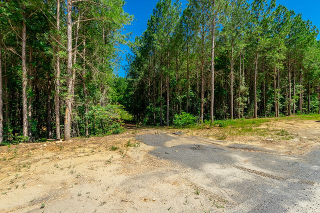 0 Split Rail Way Lot 1163, Guild, TN 37340