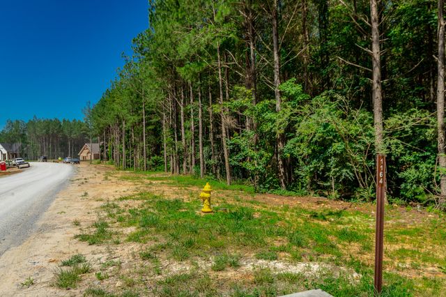 0 Split Rail Way Lot 1163, Guild, TN 37340