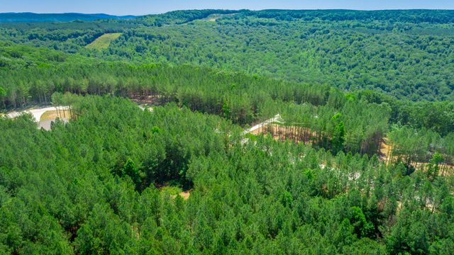 0 Split Rail Way Lot 1163, Guild, TN 37340