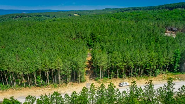 0 Split Rail Way Lot 1163, Guild, TN 37340