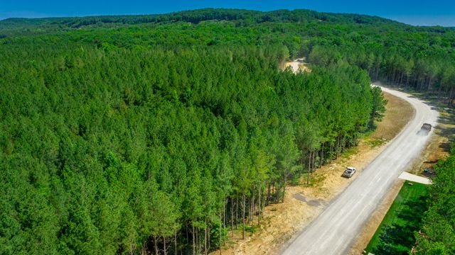 0 Split Rail Way Lot 1163, Guild, TN 37340