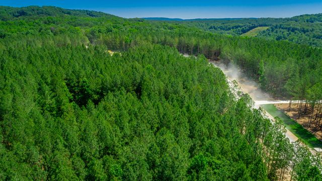 0 Split Rail Way Lot 1163, Guild, TN 37340
