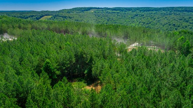 0 Split Rail Way Lot 1163, Guild, TN 37340