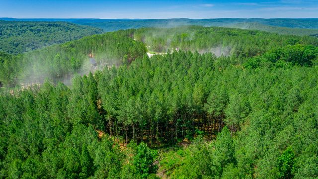 0 Split Rail Way Lot 1163, Guild, TN 37340