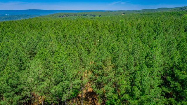 0 Split Rail Way Lot 1163, Guild, TN 37340