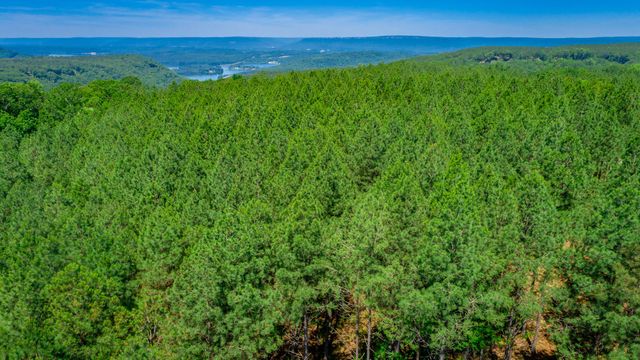 0 Split Rail Way Lot 1163, Guild, TN 37340
