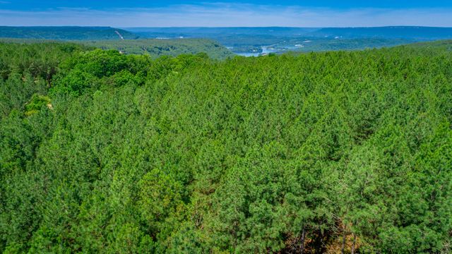 0 Split Rail Way Lot 1163, Guild, TN 37340
