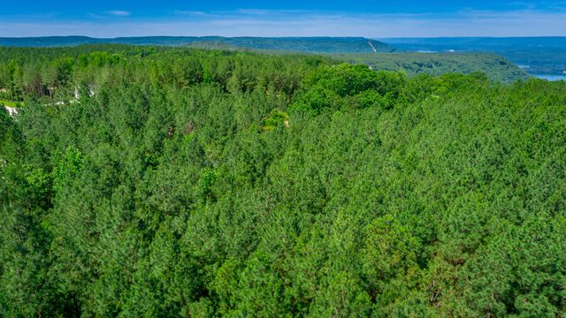 0 Split Rail Way Lot 1163, Guild, TN 37340