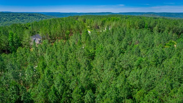 0 Split Rail Way Lot 1163, Guild, TN 37340