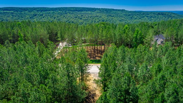 0 Split Rail Way Lot 1163, Guild, TN 37340