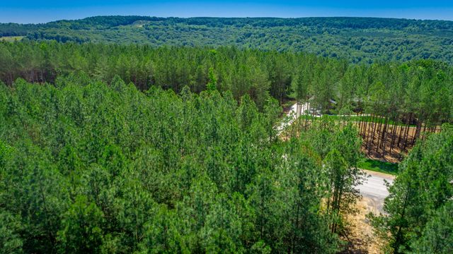 0 Split Rail Way Lot 1163, Guild, TN 37340