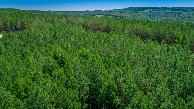 0 Split Rail Way Lot 1163, Guild, TN 37340